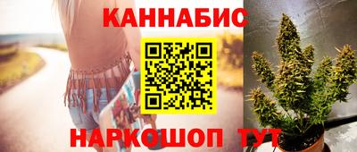 шишки Гатчина