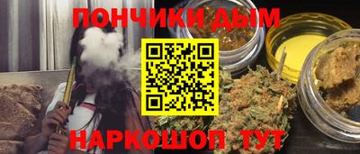 шишки Гатчина