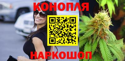 шишки Гатчина